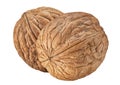 Walnut isolated closeup on white background with clipping path. Nut macro. Walnuts as package design element collection Royalty Free Stock Photo