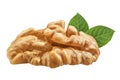 Walnut isolated closeup on white background with clipping path. Nut macro. Walnuts with leaf as package design element collection