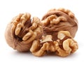 walnut isolated white background Royalty Free Stock Photo