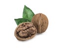 Walnut isolated on white background Royalty Free Stock Photo