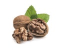 Walnut isolated on white background Royalty Free Stock Photo