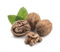 Walnut isolated on white background Royalty Free Stock Photo