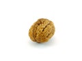Walnut Royalty Free Stock Photo