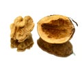 Walnut Royalty Free Stock Photo