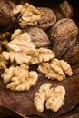 Walnut (Juglans regia) Royalty Free Stock Photo