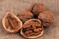 Walnut kernel close-up on a burlap