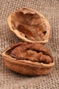 Walnut kernel close-up on a burlap