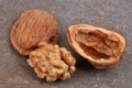 Walnut kernel close-up on gray background