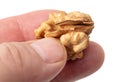 Walnut kernel in hand isolated white background. Macro Royalty Free Stock Photo