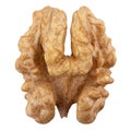 Walnut kernel. Nut isolated on white Royalty Free Stock Photo