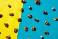 Walnut kernel pattern backdrop. One open nut shell with kernel on yellow blue background. Top view.Flat lay composition Royalty Free Stock Photo