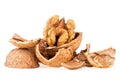 Walnut kernel and walnut peel isolated on white background. Whole and broken walnuts Royalty Free Stock Photo