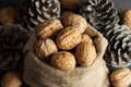 Walnut kernel with thin shell and pine in burlap sack on wooden vintage rustic backdrop. Fresh walnuts background concept Royalty Free Stock Photo