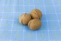Walnut and walnut kernel. Top view of walnuts in nutshells in full screen Royalty Free Stock Photo