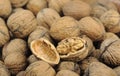 Walnut kernel and whole walnuts Royalty Free Stock Photo