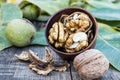 Walnut kernels lie in a bowl next to nuts in green shells and green leaves on a rustic old wooden table Royalty Free Stock Photo