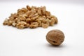 Walnut Kernels Other Names: Juglans Regia, Persian Walnut, English Walnut, Circassian Walnut. Isolated Image On A White Royalty Free Stock Photo