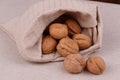 Walnuts in a bag on a fabric background Royalty Free Stock Photo