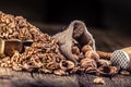 Walnut kernels whole walnuts in burlap sack and vintage bowl Royalty Free Stock Photo