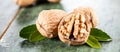 Walnut kernels and whole walnuts on rustic old oak table Royalty Free Stock Photo