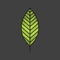 Walnut leaf color icon