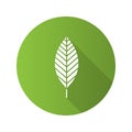 Walnut leaf flat design long shadow glyph icon