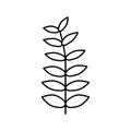 walnut leaf line icon vector illustration