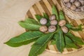 Walnut leaves with nuts and a wicker basket filled with nuts on a striped wooden kitchen board Royalty Free Stock Photo