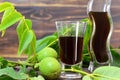 Walnut liqueur Royalty Free Stock Photo