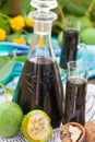 Walnut liqueur with green walnuts Royalty Free Stock Photo