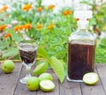 Walnut liqueur Royalty Free Stock Photo