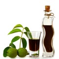 Walnut liqueur isolated on white background Royalty Free Stock Photo