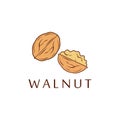 Walnut Logo Template Isolated White Background