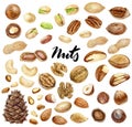 Nuts big set composition watercolor isolated on white background Royalty Free Stock Photo