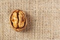 Walnut macro shot. Texture shell. Rural style