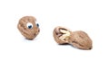 Walnut mit googly eyes Royalty Free Stock Photo