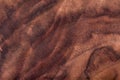 Walnut natural wood texture Royalty Free Stock Photo