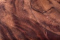 Walnut natural wood texture Royalty Free Stock Photo
