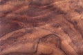 Walnut natural wood texture Royalty Free Stock Photo