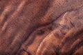 Walnut natural wood texture Royalty Free Stock Photo