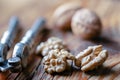 Walnut nut kernels with a vintage silver nut cracker