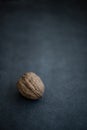 Walnut Nut resting on dark background