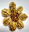 Walnut