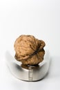 Walnut and Nutcracker Royalty Free Stock Photo