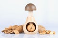 A walnut nutcracker with split walnuts on white Royalty Free Stock Photo