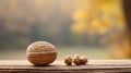 Walnut nuts and hazelnut on wooden table with autumn background, AI