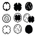 Walnut, nutshell icons set Royalty Free Stock Photo