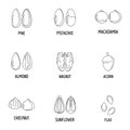 Walnut oil icons set, outline style Royalty Free Stock Photo