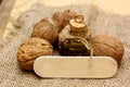 Walnut oil on vintage bottle and nuts on coarse cloth sacking Royalty Free Stock Photo