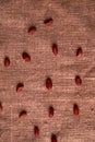 walnut peanut scattered on sackcloth background. Top view. Textured Royalty Free Stock Photo
